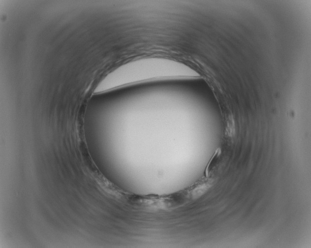 X0000080160524200612081030