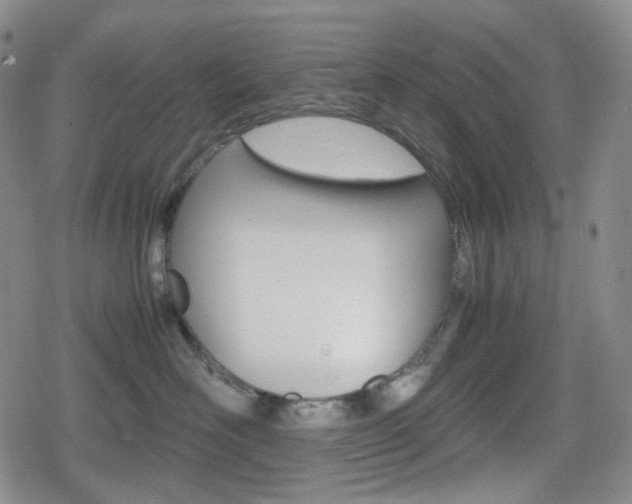 X0000080160526200612081030