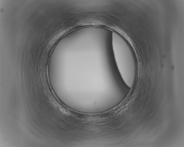 X0000080160529200612081029