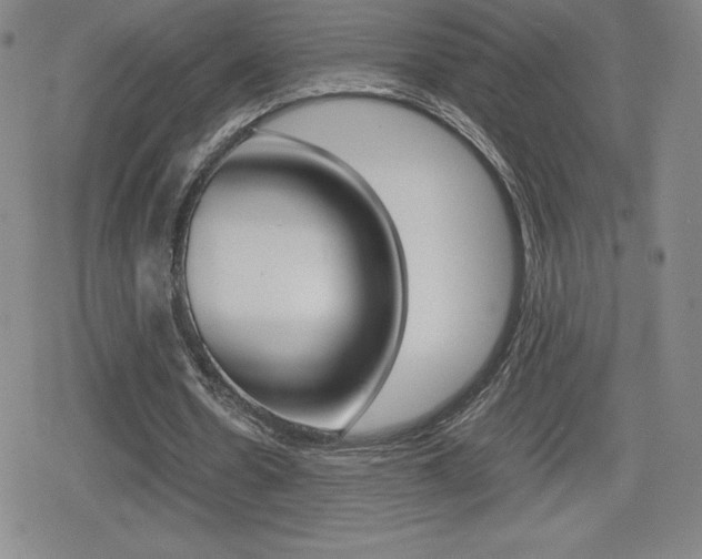X0000080160530200612081029