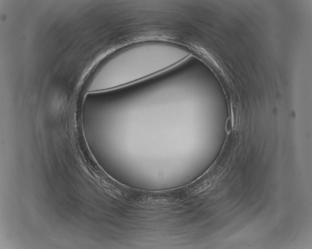 X0000080160531200612081029