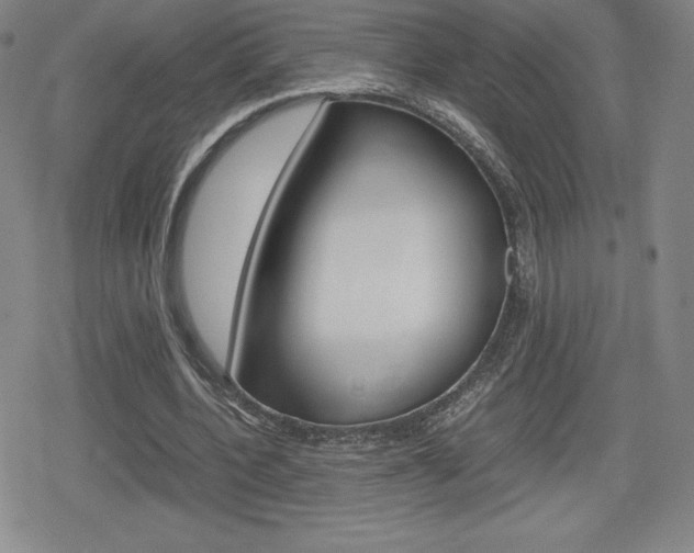 X0000080160532200612081029