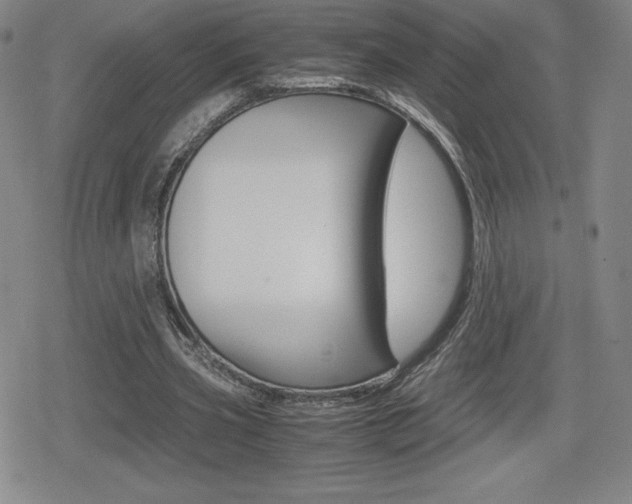 X0000080160533200612081029
