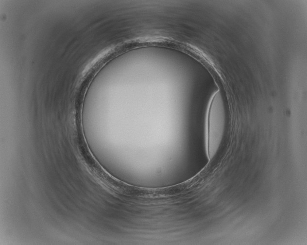 X0000080160535200612081029