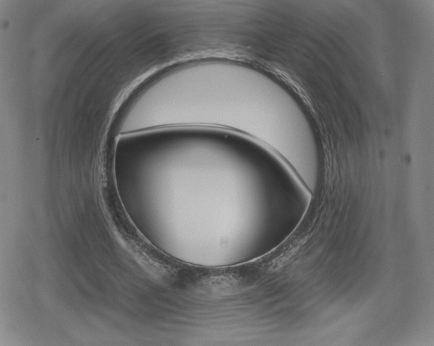 X0000080160536200612081029