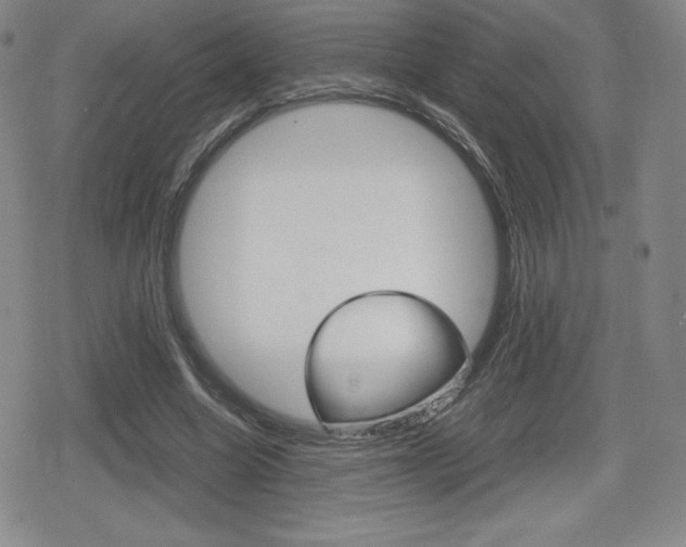 X0000080160538200612081029