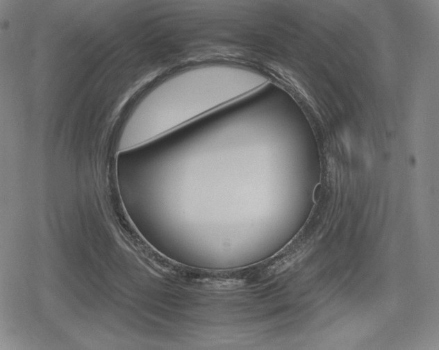 X0000080160539200612081029