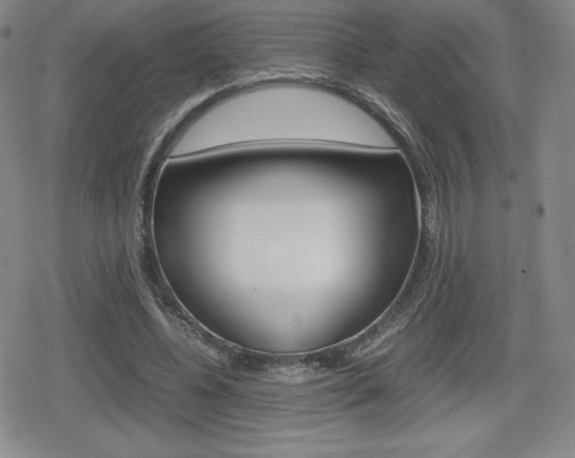 X0000080160540200612081030