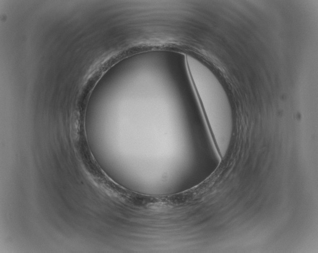 X0000080160544200612081030