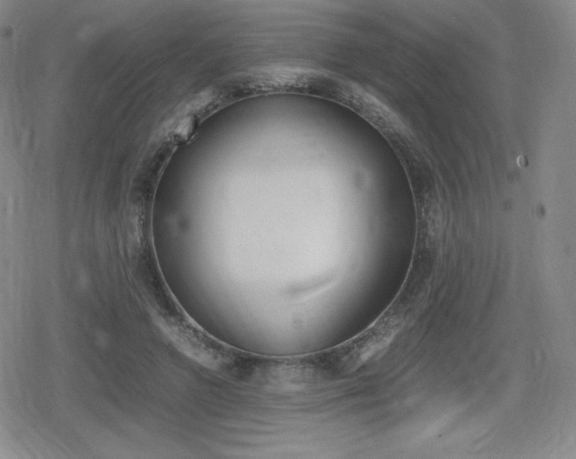 X0000080160546200612081030