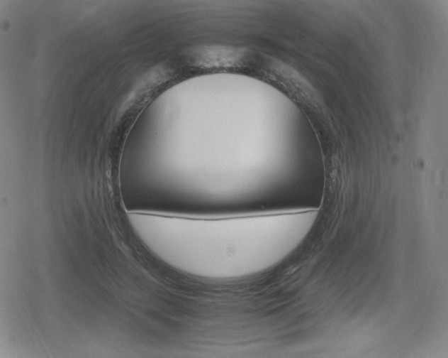 X0000080160547200612081030