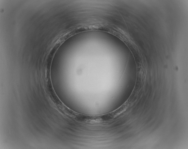 X0000080160548200612081030