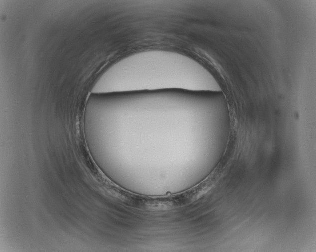 X0000080160549200612081030