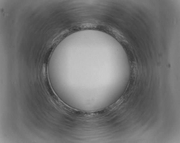 X0000080160550200612081030