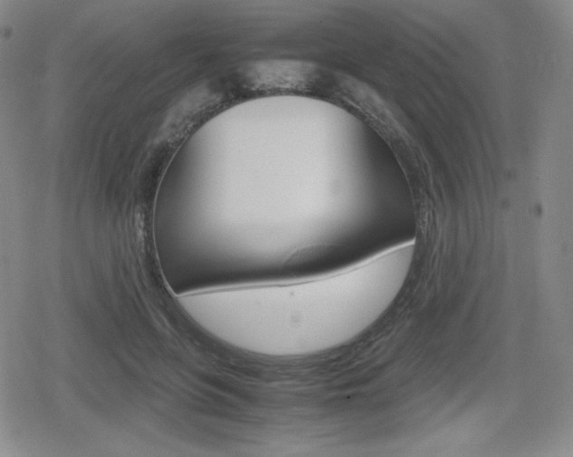 X0000080160551200612081030