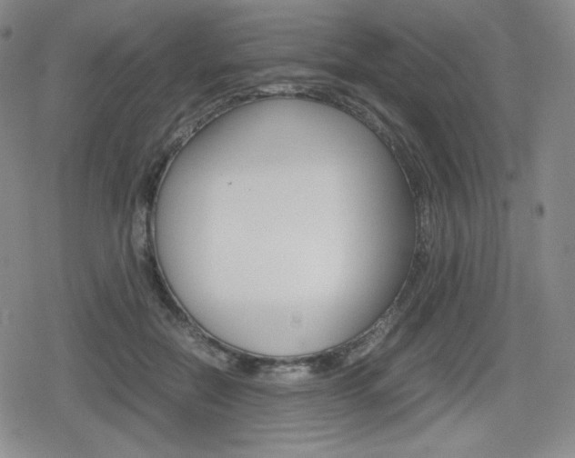 X0000080160554200612081030