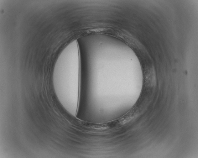 X0000080160555200612081030