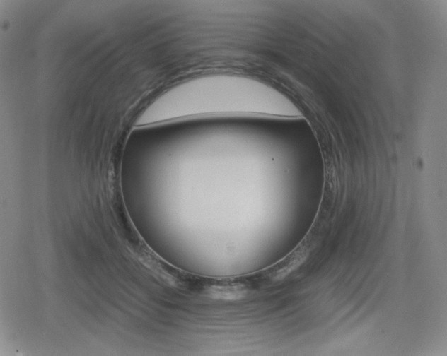 X0000080160556200612081030