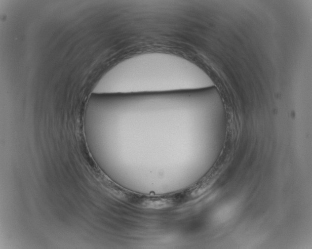 X0000080160557200612081030