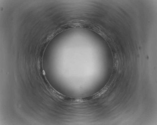 X0000080160562200612081030