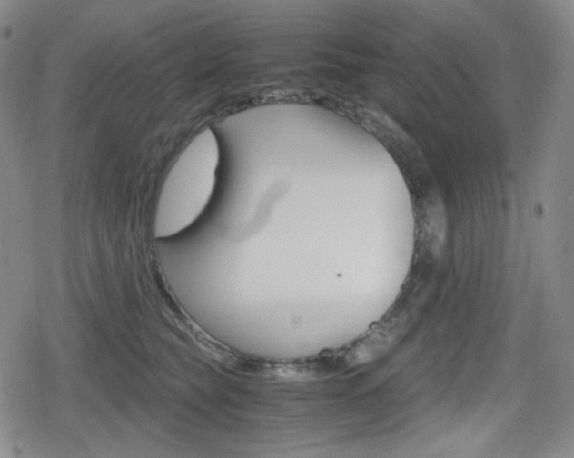 X0000080160565200612081030