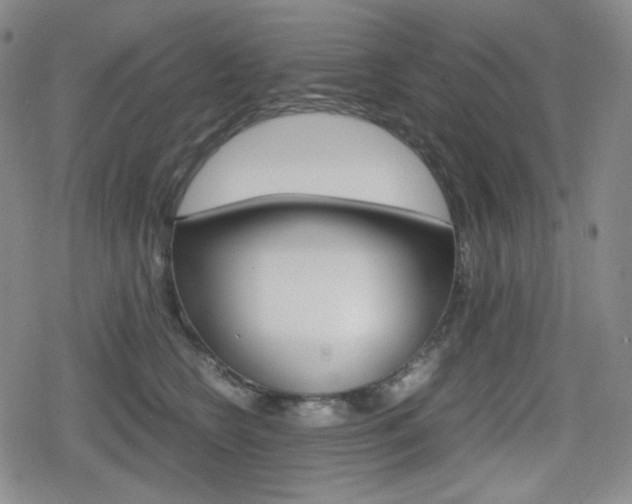 X0000080160566200612081030