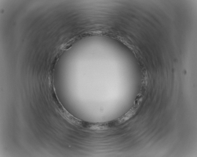 X0000080160568200612081030