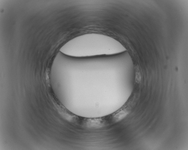 X0000080160573200612081030