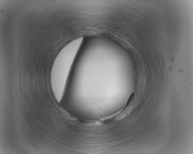 X0000080160576200612081030