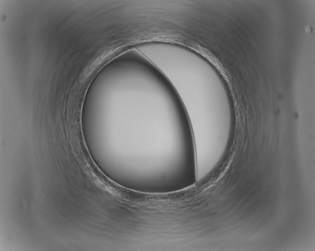 X0000080160577200612081029