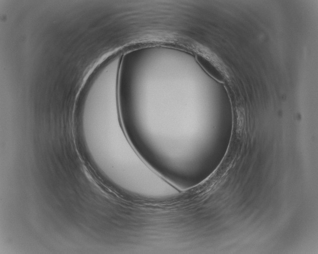 X0000080160580200612081029