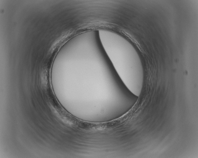 X0000080160586200612081029