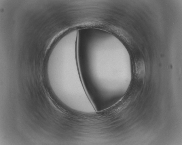 X0000080160588200612081029