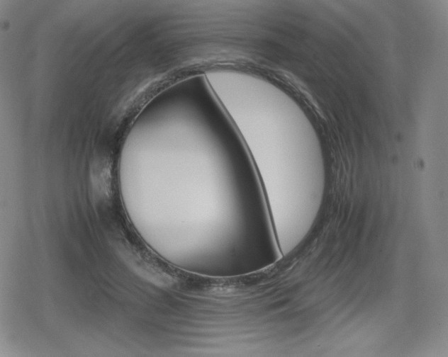 X0000080160596200612081029