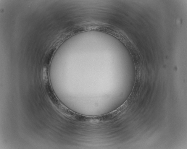 X0000080160598200612081029