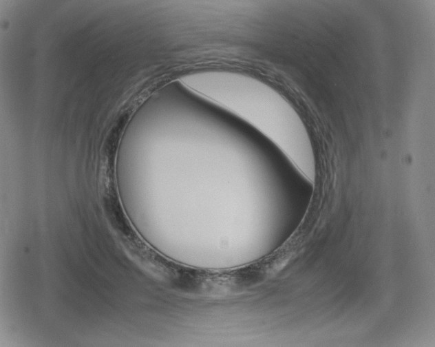 X0000080160599200612081029