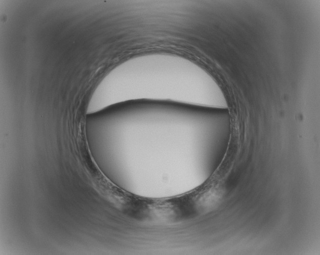 X0000080160603200612081029