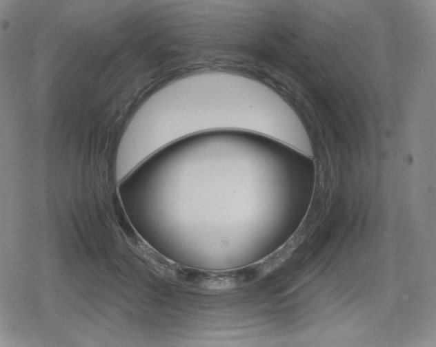 X0000080160604200612081029