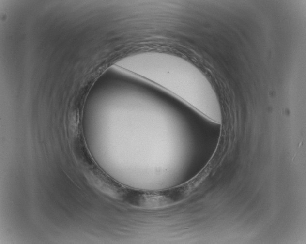 X0000080160605200612081029