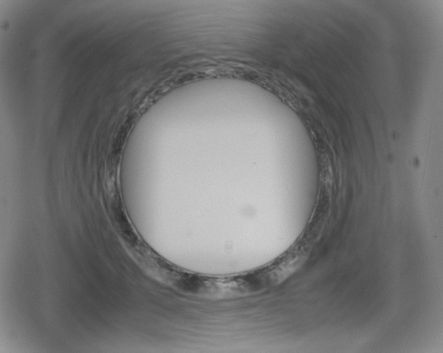 X0000080160607200612081029