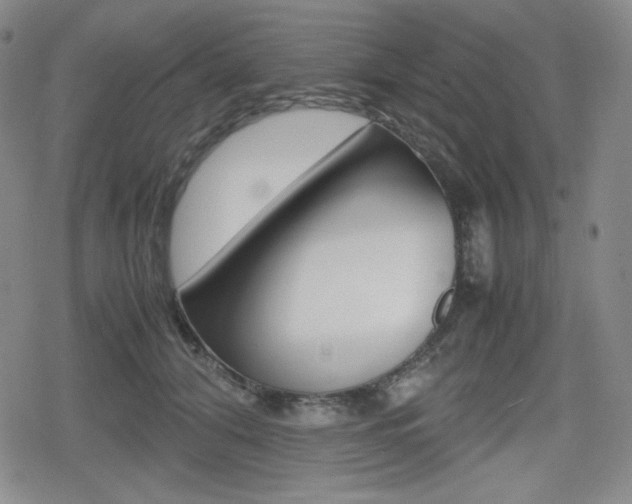 X0000080160608200612081029