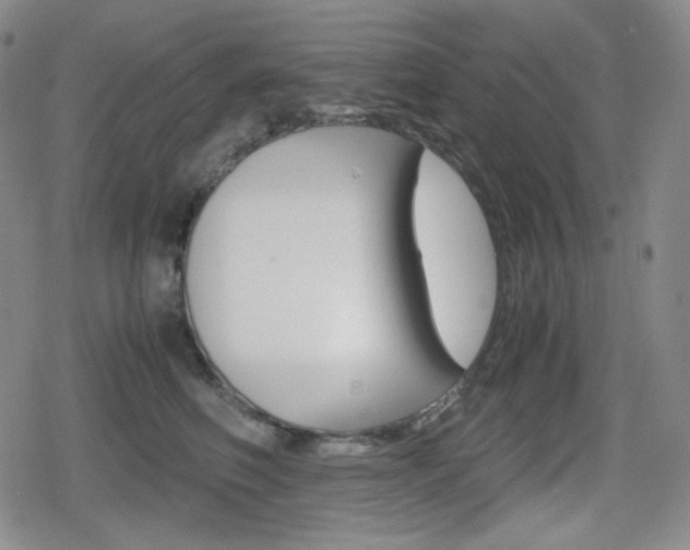 X0000080160614200612081029
