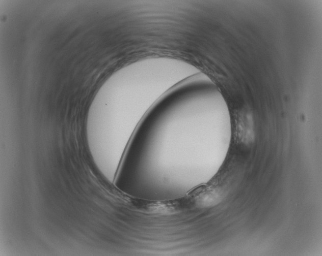 X0000080160616200612081029