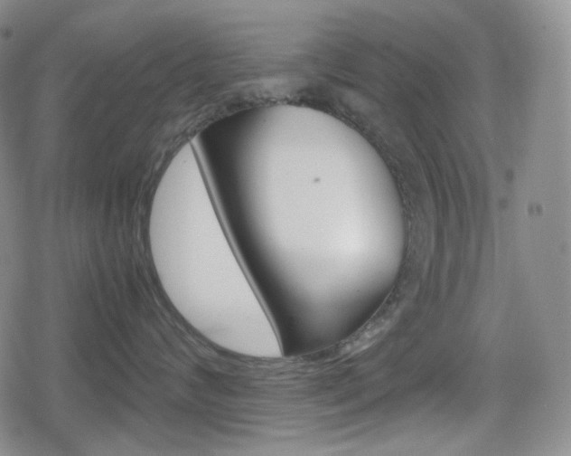 X0000080160624200612081029