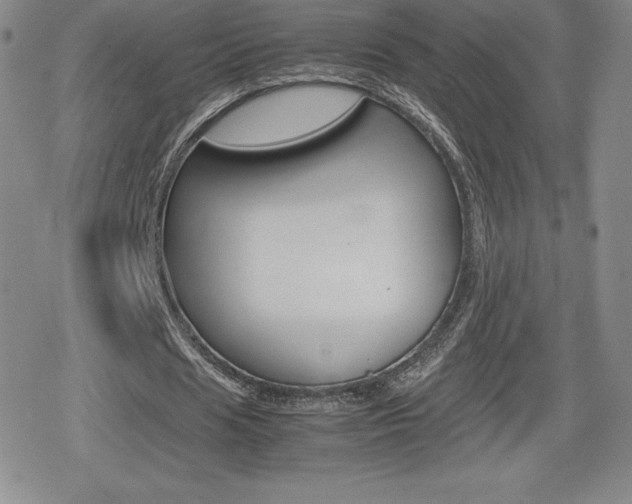 X0000080160625200612081028