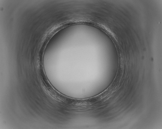 X0000080160631200612081028