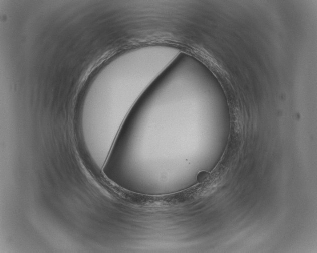 X0000080160634200612081028