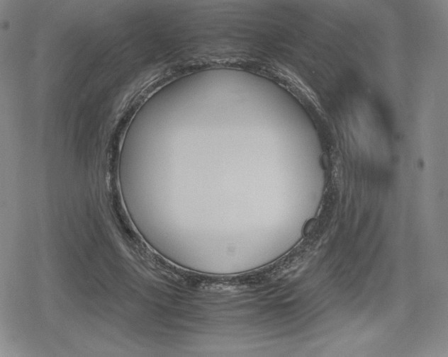 X0000080160635200612081028