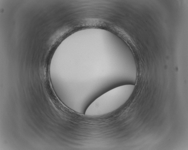 X0000080160636200612081028