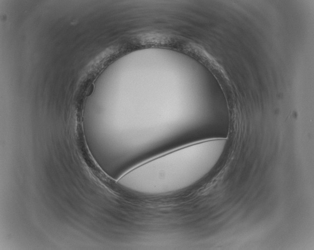 X0000080160637200612081028